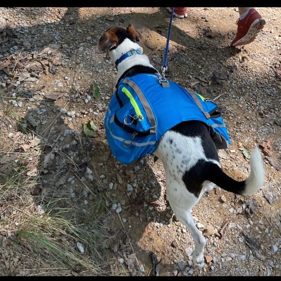 Dog vest - Picture 2 of 3